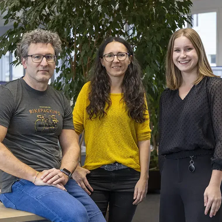 Kreation AVD GOLDACH AG