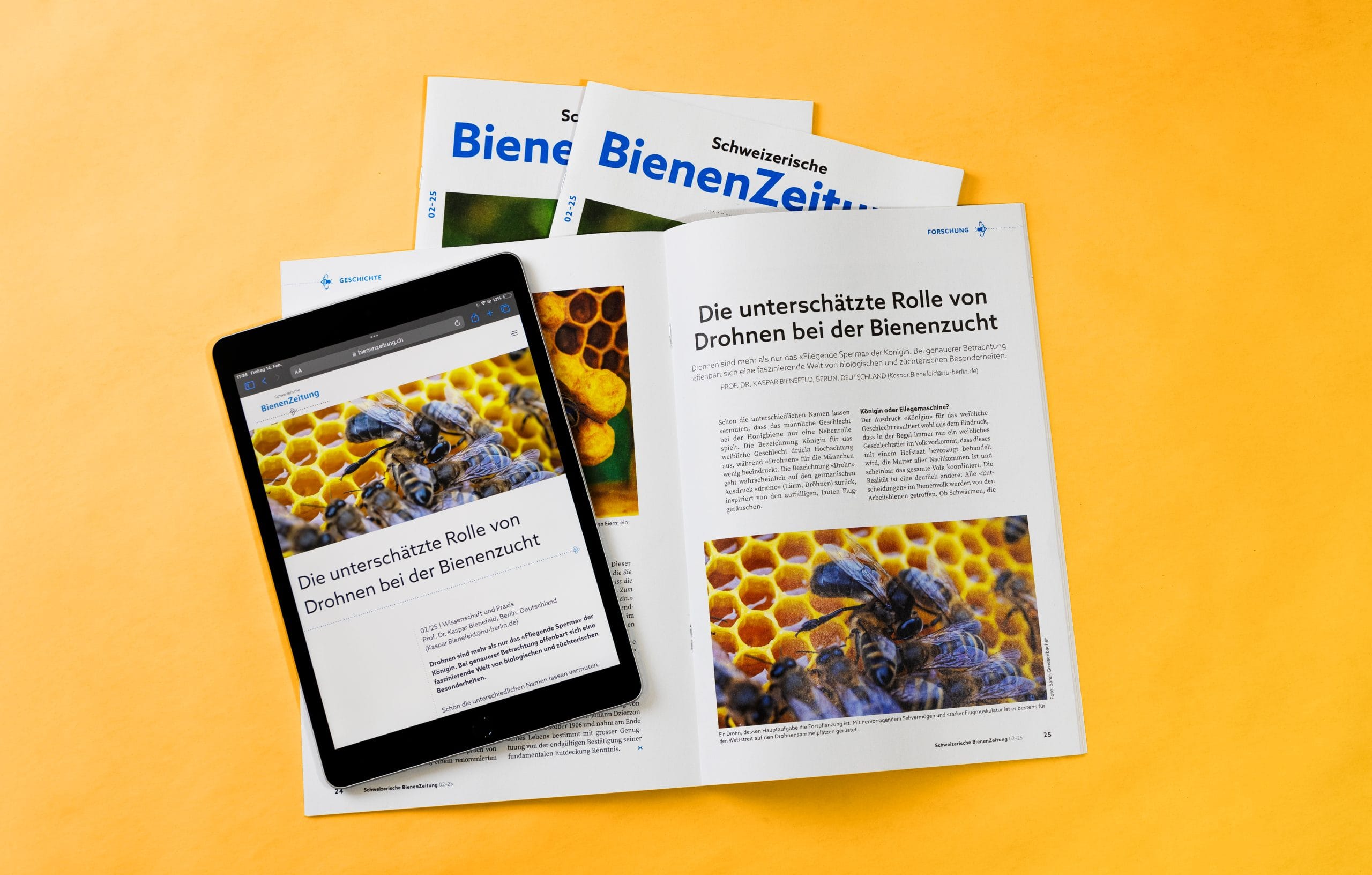 Multichannel Publishing AVD GOLDACH AG