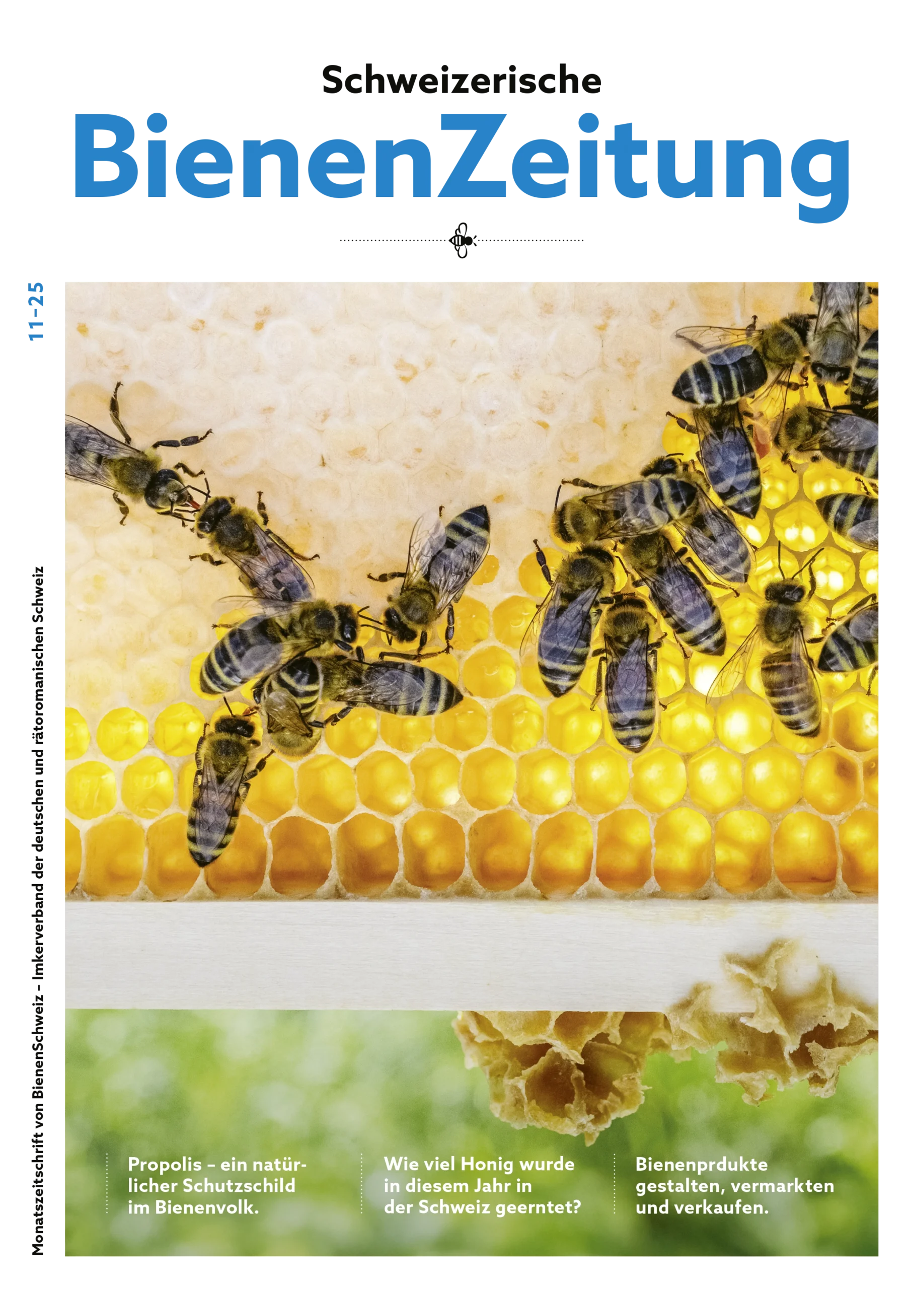 Bienen-11_001